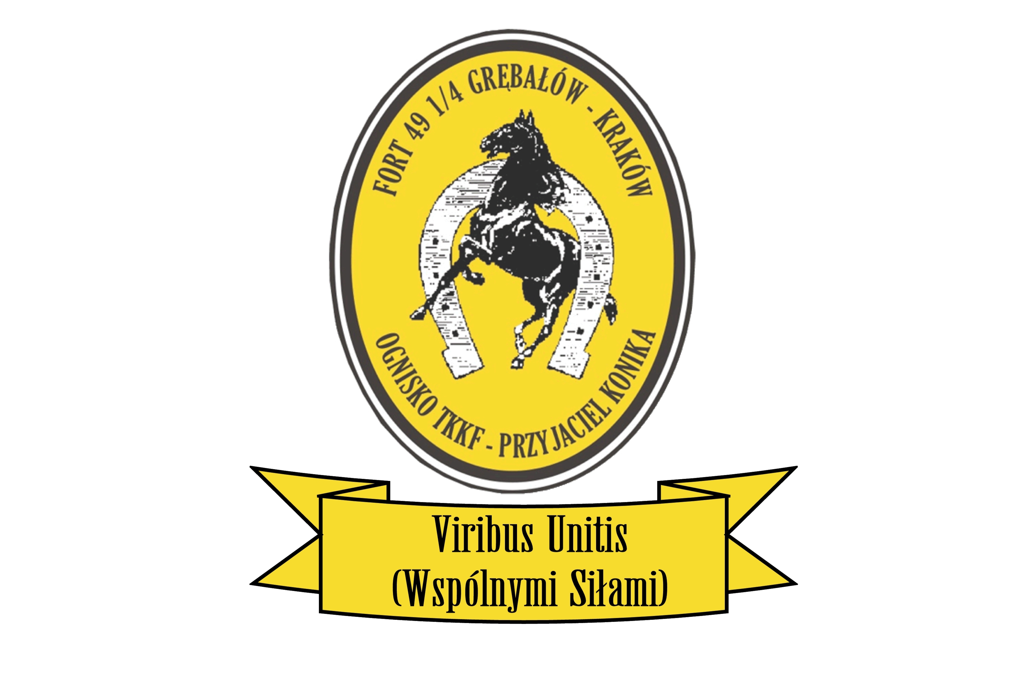 okladka wolontariatu